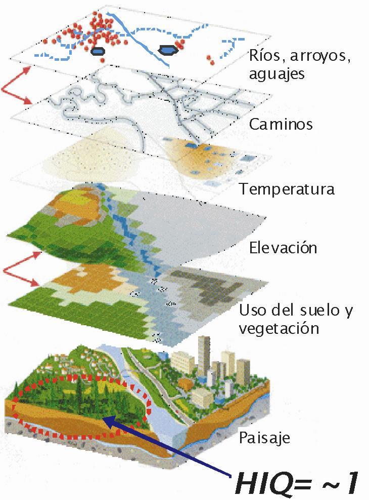 Figura 6. Ejemplo de la sobreposición de capas para evaluar el hábitat de la fauna silvestre.