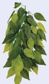Ficus ideal para implementar hábitats cercanos a lo natural con ventosa fácil de limpiar 76239 ø