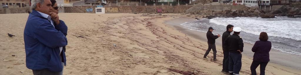 2014, realizó una actividad de terreno en la Playa Chica de Las