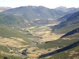 Proyecto de actuaciones de conservación del tramo alto del río Carrión en el Parque Natural de Fuentes Carrionas y Fuente Cobre Montaña Palentina Actuaciones a realizar Desviación de