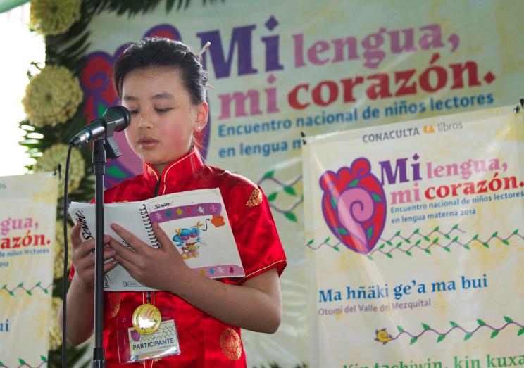 Las Salas de Lectura cuentan con libros escritos en náhuatl, maya, tzeltal, tzotzil,