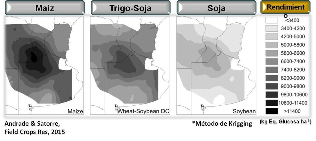 El rendimiento del cultivo de soja en Argentina: brechas de rendimiento, variabilidad