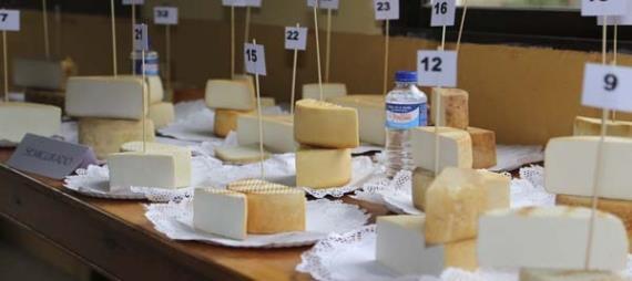 comentada de quesos de la denominación de origen protegida de Flor y de Guía, así como de un maridaje de quesos canarios con cerveza artesanal Tierra de Perros.
