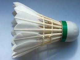 Material A raqueta non pode medir máis de 68 cm de longo e 23 cm de ancho, é moi lixeira (80-90 gr) e está fabricada en metal, bambú, carbono ou madeira. Ten tres partes: empuñadura, cana e cabeza.