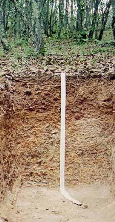 Las capas de suelos para efectos de identificación se designan con letras mayúsculas, las cuales nos indican diferentes propiedades y características.