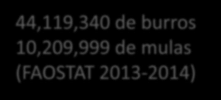 (FAOSTAT 2013-2014) 3500000
