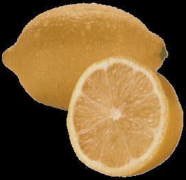 Características de las principales variedades de Limones Eureka