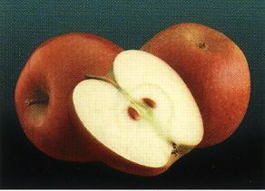 Características de las principales variedades de Manzanas Braeburn Fruto de color verde