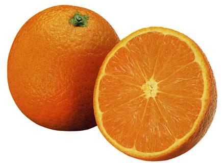 Nave late Variedades tardías Fruto de piel delgada y lisa, de color naranja pálido, oval, con ombligo