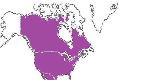 Países con vacunación contra VPH en Las Américas Canadá (1C - 3D 2007-2009) EEUU (11a 3D - Junio 2006)