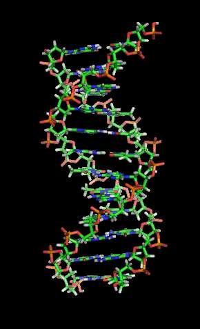 Cómo detectar ADN?