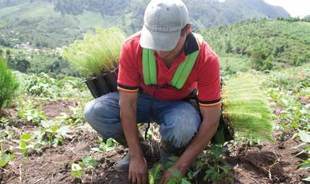 primera prioridad del eje Guatemala Urbana y Rural del Plan Nacional de Desarrollo K atun Nuestra Guatemala 2032 y la Política Nacional de Desarrollo Rural Integral (PNDRI).