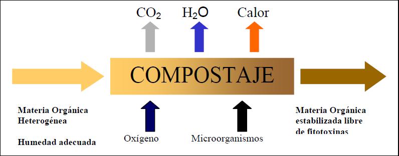 10 Memoria Descriptiva los restos orgánicos. Por lo que para compensar esta acidez, tales residuos se suelen mezclar con residuos de ph complementario o se someten a un proceso de pretratamiento.