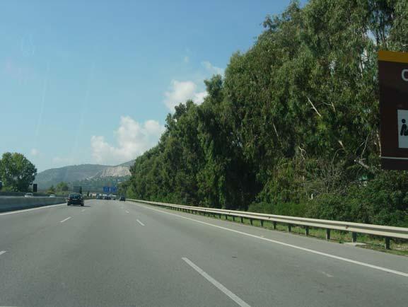En ambos casos se intenta ocultar la carretera mediante la plantación de grandes árboles junto a ella.