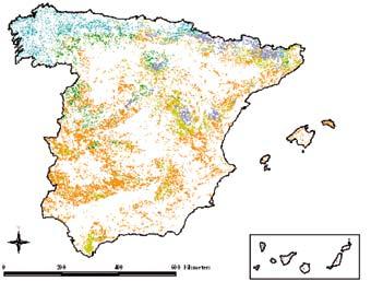 Indice de contenidos Gap analysis de los bosques españoles Evaluación sexenal de la Directiva de Hábitats Muestreo de macrófitos acuáticos utilizaron cinco mapas procedentes de la versión del