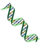 Biología Molecular ADN ARN