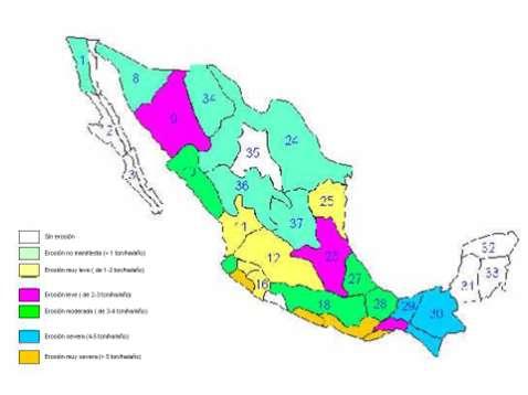 Erosión de suelos en las diferentes cuencas de la República Mexicana Lo anterior es coincidente con la FAO que indica que, desde el punto de vista edafológico la pérdida de suelo es tolerable o