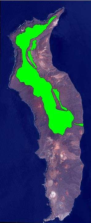 Isla Guadalupe Bosque en 1800: 4 000 ha 1980: 192 ha