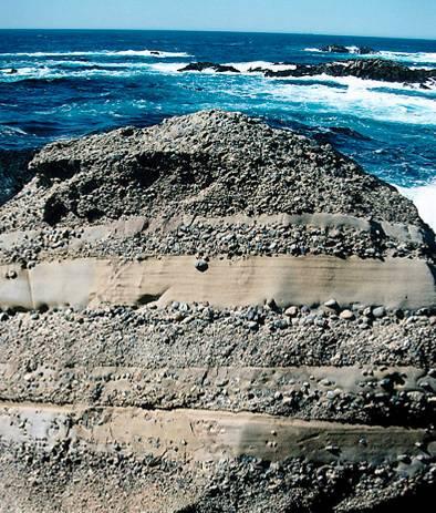 Facies Sedimentarias Cuerpo de roca sedimentaria que puede diferenciarse de otros cuerpos por la