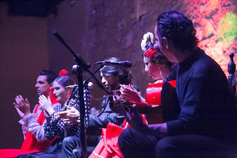 Organizamos siempre a medida- todo tipo de actividades relacionadas con el flamenco: desde espectáculos