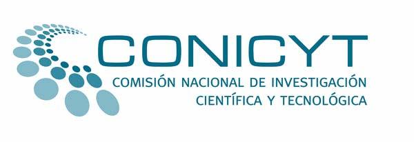 Actores Claves Consejo Nacional de Innovación(CNIC) Ministerio de Educación Academia Chilena de Ciencias Empresas SOFOFA Otros SUBDERE MIDEPLAN MINECON CORFO