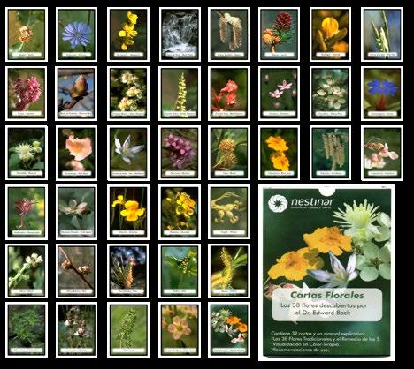 CARTAS florales tradicionales Estas 39 cartas son una valiosa ayuda en la búsqueda del camino