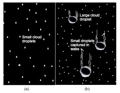 granizo comienza como pequeños embriones de hielo que crecen colectando gotículas superenfriadas en la medida que caen a través de las nubes.