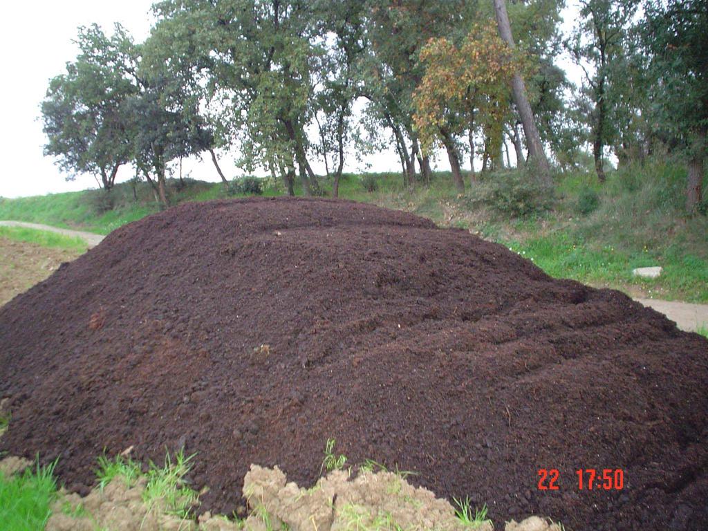 Prevención de la incorporación de malas hierbas Semilla limpia