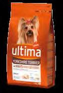 ULTIMA yorkshire o dog mini, 1,5kg 5,50 El
