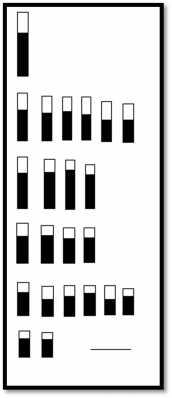 1 m Figura 5. Cariotipo e ideograma de Guadua angustifolia var. angustifolia biotipo macana, según la posición relativa del centrómero (100X). DISCUSIÓN La dotación cromosómica encontrada para G.