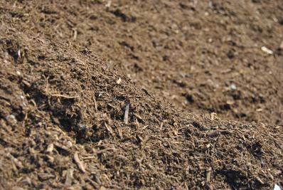 Aumento del contenido microbiano bueno en el suelo (manejo adecuado del compost).