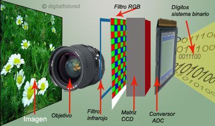 Formación de la imagen digital La trayectoria que sigue la cámara para formar la imagen digital es la siguiente forma: La luz que detecta el objetivo de la cámara llega hasta el sensor de imagen,