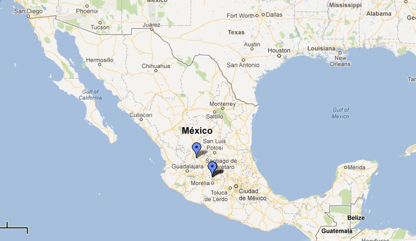 Una serie de estudios recientes Tres localidades atípicas: (Uriangato y Moroleón, Gto. y Villa Hidalgo, Jalisco) Enclaves especializados en la industria del vestido.