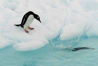 ANTÁRTIDA, EL MÁS HELADO La Antártida es el cuarto continente más grande del planeta.