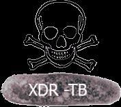 10.3.1. TUBERCULOSIS EXTREMADAMENTE RESISTENTE A FÁRMACOS (XDR TB).