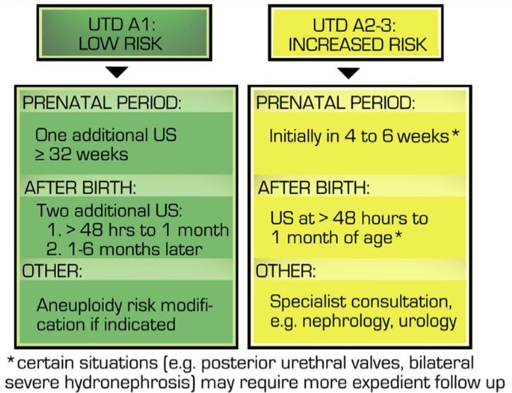 Sistema de clasificación de dilatación del tracto urinario (UTD) Nguyen HT, et al.