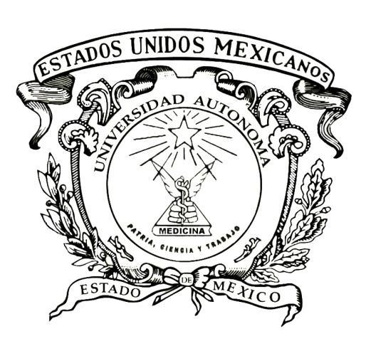 UNIVERSIDAD AUTÓNOMA DEL ESTADO DE MÉXICO FACULTAD DE MEDICINA COORDINACION DE INVESTIGACIÓN Y ESTUDIOS AVANZADOS DEPARTAMENTO DE ESTUDIOS AVANZADOS COORDINACION DE LA ESPECIALIDAD EN CIRUGIA GENERAL