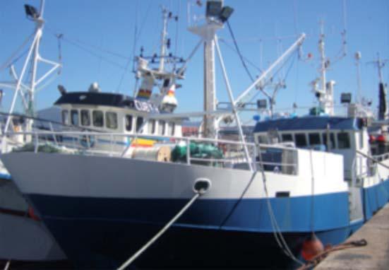 Si bien en un principio la flota palangrera de superficie nació para pescar pez espada, debido a que en los últimos años se han producido importantes desequilibrios de precios en el mercado