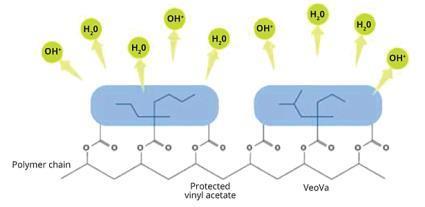 Acrílicas- monómeros flexibilizantes en dispersiones acuosas Monómeros Acrílicos Buena eficiencia plastificante, la cual crece según la cadena alifática. Flexibilidad y adherencia.