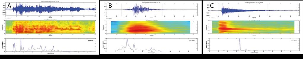 Izquierda: valores RSAM (amplitud promedio diaria de los registros sísmicos en la estación VTUN) entre junio 2014 y junio 2015.
