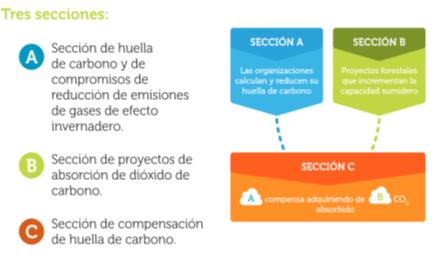 En este contexto se ha desarrollado el Proyecto técnico sobre identificación, diseño y presentación de proyectos municipales de absorción de CO 2 y de huella de carbono promovido por la Federación