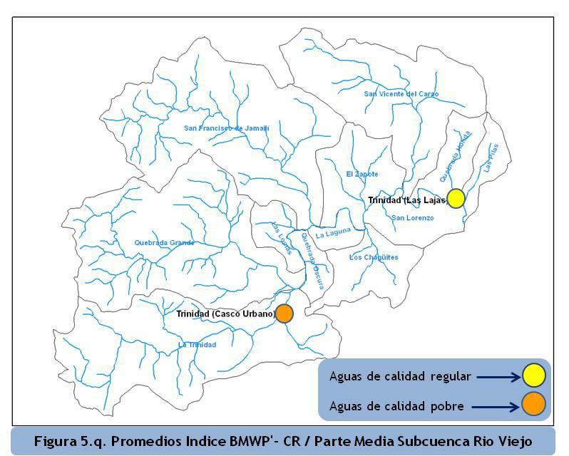 Para los dos sitios ubicados en la parte media de la subcuenca la calidad del agua según el Índice BMWP -CR fue de dos tipos regular y pobre calidad, la situación para cada muestreo (Nov.2009, Marz.