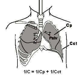 Complacencia del sistema respiratorio Csr El sistema pulmonar presenta propiedades elásticas.