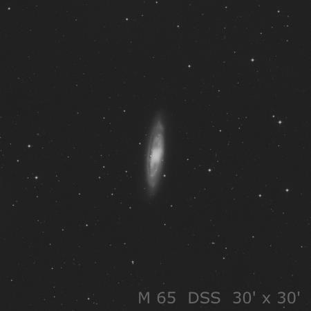 M 65 (NGC 3623) Galaxia espiral Mag.: 9,3 B. superf.: Tamaño: 9,8 x 3 Distancia: 39 millones al. Constelación: Leo Coordenadas: AR 11h 19m 43.