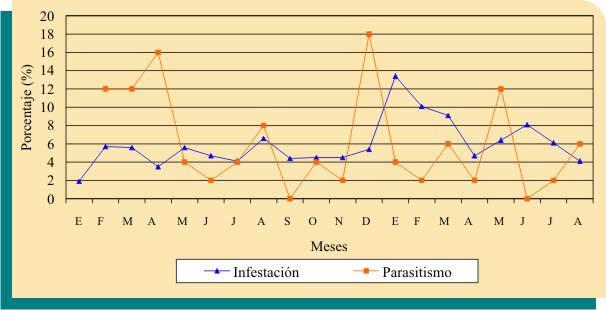 del parasitoide en la regulación de las poblaciones de broca. Figura 2. Niveles de infestación por broca y porcentajes de parasitismo de P. coffea, en un lote de 1.