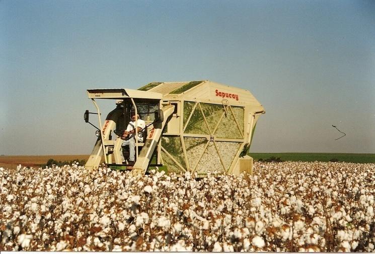En los 90 el sector vivió una realidad difícil: era más fácil importar que producir La producción de algodón «implosionó» y el