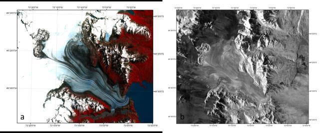 Fig. 5 Imágenes satelitales de la zona de ablación del glaciar Viedma: (a) imagen óptica SPOT 5 y (b) imagen radar Sentinel 1-A.