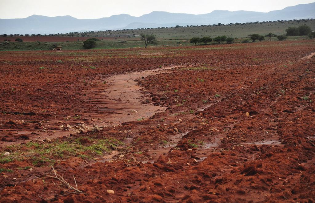 NAYARIT Agenda Técnica Agrícola Agricultura de conservación 1. El problema de la degradación del suelo Qué es la degradación del suelo?