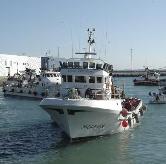 5. CERCO La flota cerquera andaluza adscrita a este Acuerdo durante el tercer trimestre del año 2011, está formada por 18 buques con un arqueo total de 1.086,29 GT y una potencia de 6.572,34 CV.