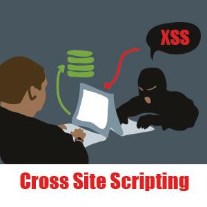 Definiciones Ataques Cross-site Scripting